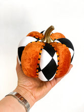 Load image into Gallery viewer, Harlequin &amp; Orange Pumpkins - Midnight Range
