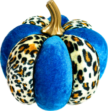 Load image into Gallery viewer, Teal &amp; Cheetah Print Pumpkins - Midnight Range
