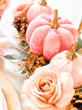 Load image into Gallery viewer, Pink Pumpkins - Midnight Range
