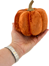 Load image into Gallery viewer, Large Orange Pumpkin - Midnight Range
