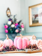 Load image into Gallery viewer, Pink Pumpkins - Midnight Range
