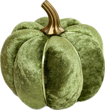 Load image into Gallery viewer, Olive Green Pumpkins - Midnight Range
