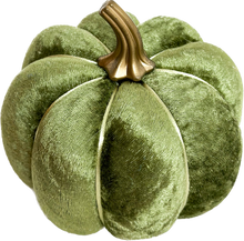 Load image into Gallery viewer, Olive Green Pumpkins - Midnight Range
