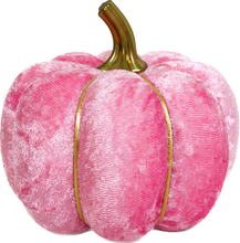 Load image into Gallery viewer, Pink Pumpkins - Midnight Range
