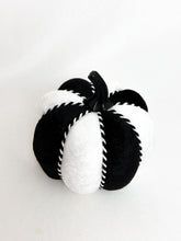 Load image into Gallery viewer, Black &amp; White Pumpkins - Midnight Range
