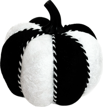 Load image into Gallery viewer, Black &amp; White Pumpkins - Midnight Range
