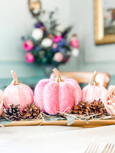 Load image into Gallery viewer, Pink Pumpkins - Midnight Range
