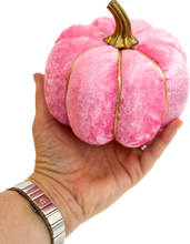 Load image into Gallery viewer, Pink Pumpkins - Midnight Range
