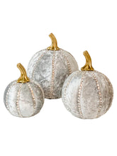 Load image into Gallery viewer, Silver Grey Pumpkin Decoration - A Bauble Affair
