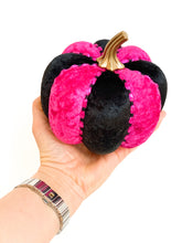 Load image into Gallery viewer, Fuchsia Pink Pumpkins - Midnight Range
