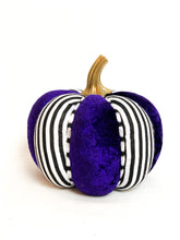 Load image into Gallery viewer, Pinstriped Purple Pumpkins - Midnight Range
