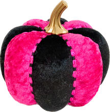 Load image into Gallery viewer, Fuchsia Pink Pumpkins - Midnight Range
