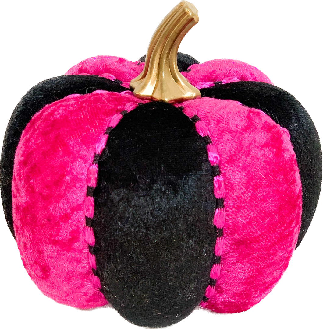 Fuchsia Pink Pumpkins - Midnight Range