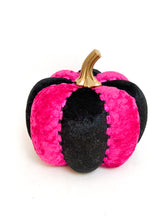 Load image into Gallery viewer, Fuchsia Pink Pumpkins - Midnight Range
