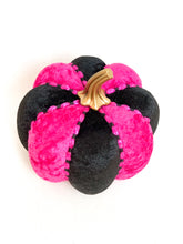 Load image into Gallery viewer, Fuchsia Pink Pumpkins - Midnight Range
