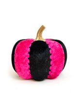 Load image into Gallery viewer, Fuchsia Pink Pumpkins - Midnight Range
